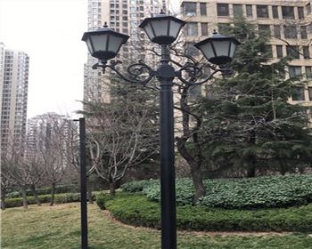太陽(yáng)能路燈案例-西安白樺林間