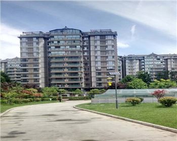 太陽能殺蟲燈-省西安市曲江南湖小區路燈項目