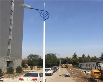 市電路燈-省西安市西北大學長安校區路燈工程