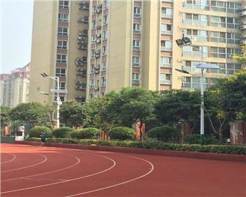 學(xué)校路燈改造-省西安高新一中路燈項目