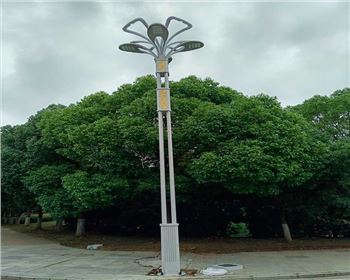湖北武漢市政景觀路燈項(xiàng)目